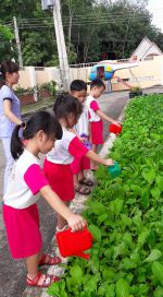 Trẻ tham gia chăm sóc vườn rau cùng cô